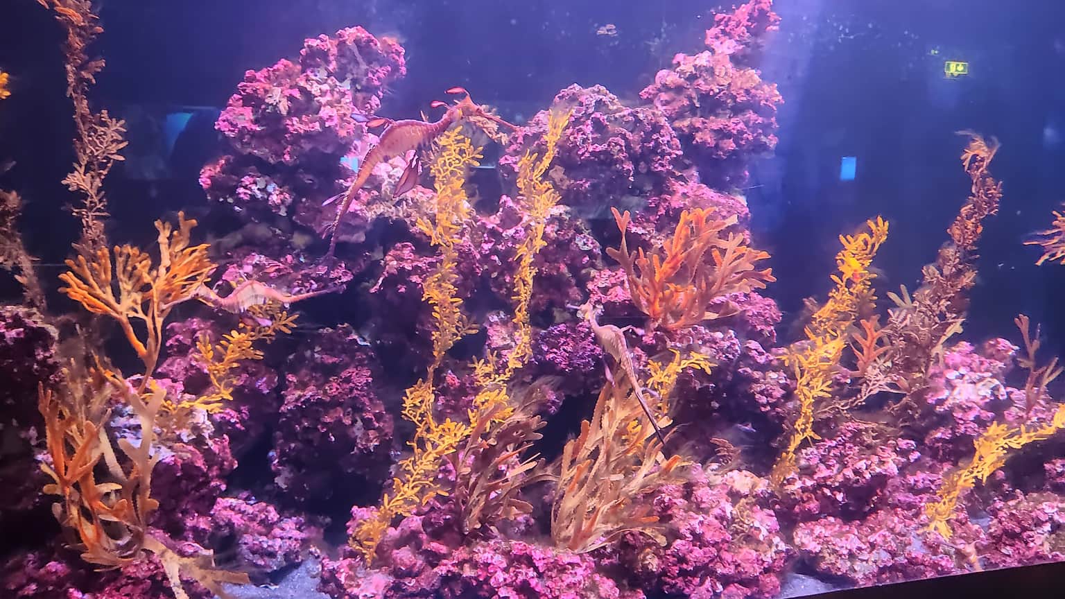 Photo from Zabeel Chowdhury's trip
