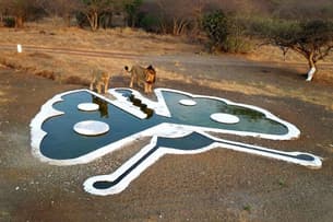 Wjk2yihx7rlfox3squi1uayouujv img5