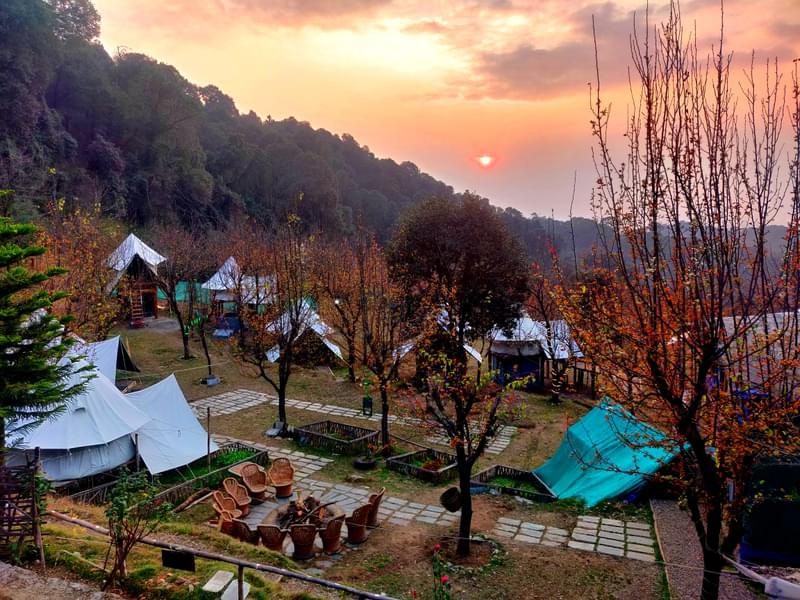 Nature Camping in Bir Billing Image