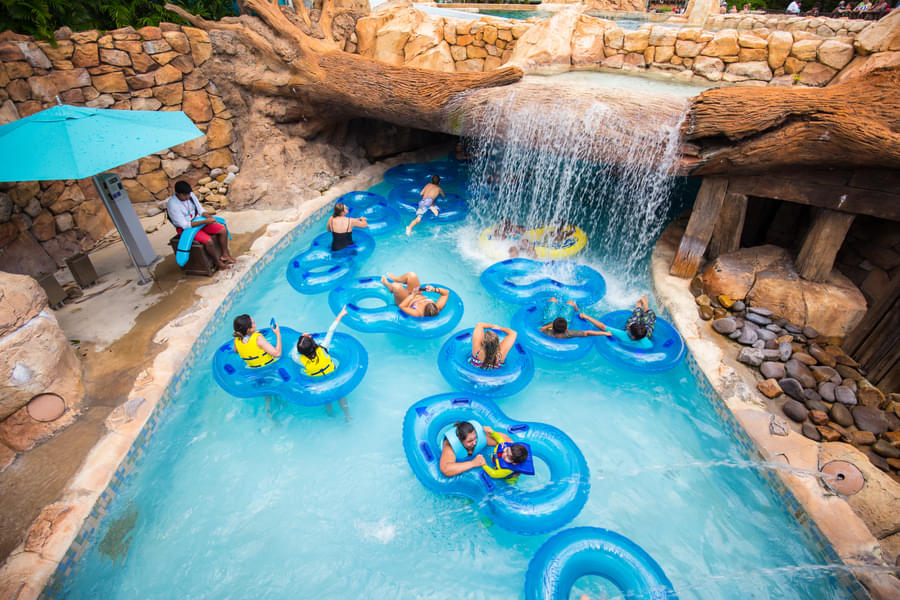 Discovery Cove Tickets Image