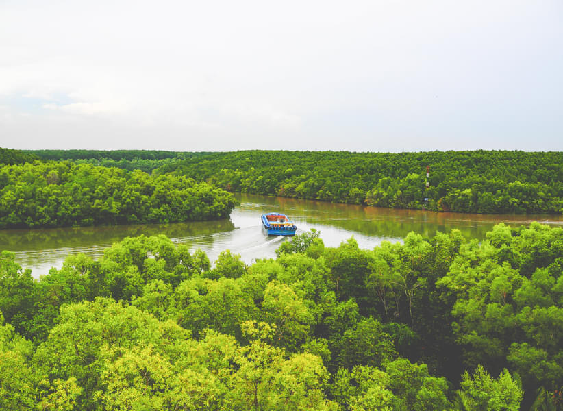 Can Gio Mangrove Tour Image
