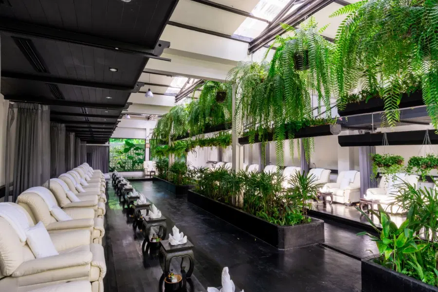 Kim's Massage and Spa Experience in Old Town, Phuket Image