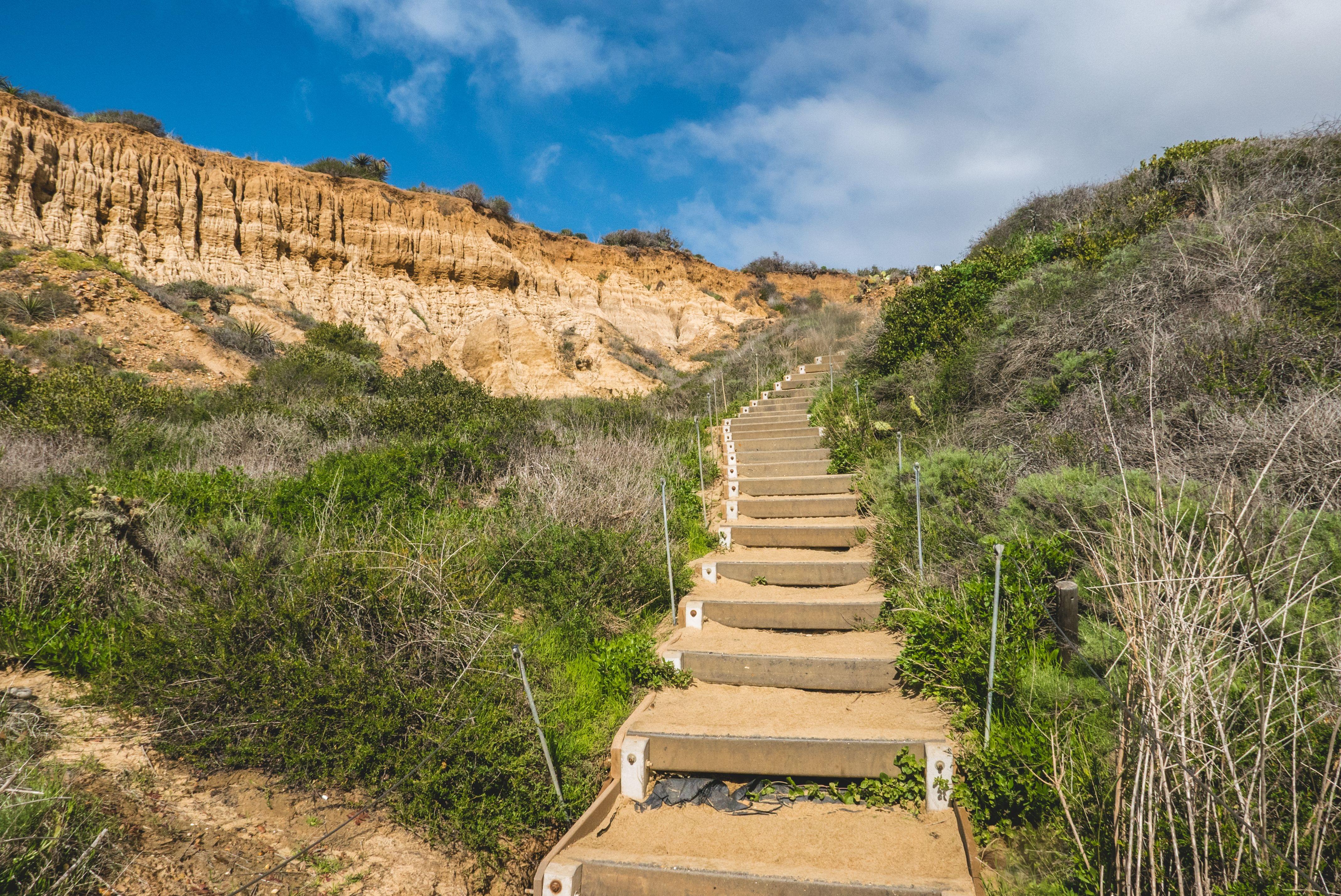 Torrey Pines State Reserve