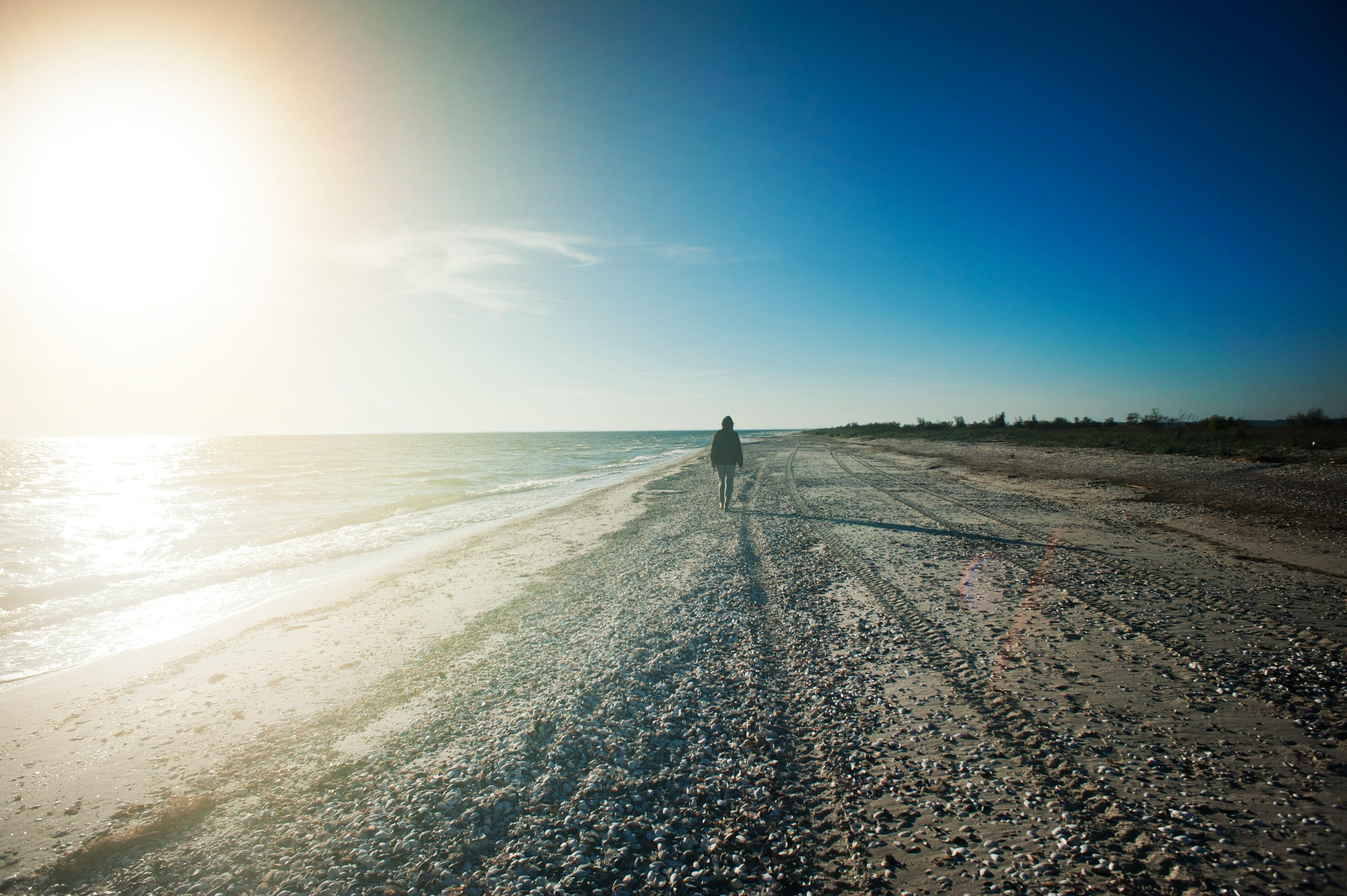 Take an early morning stroll along the shoreline