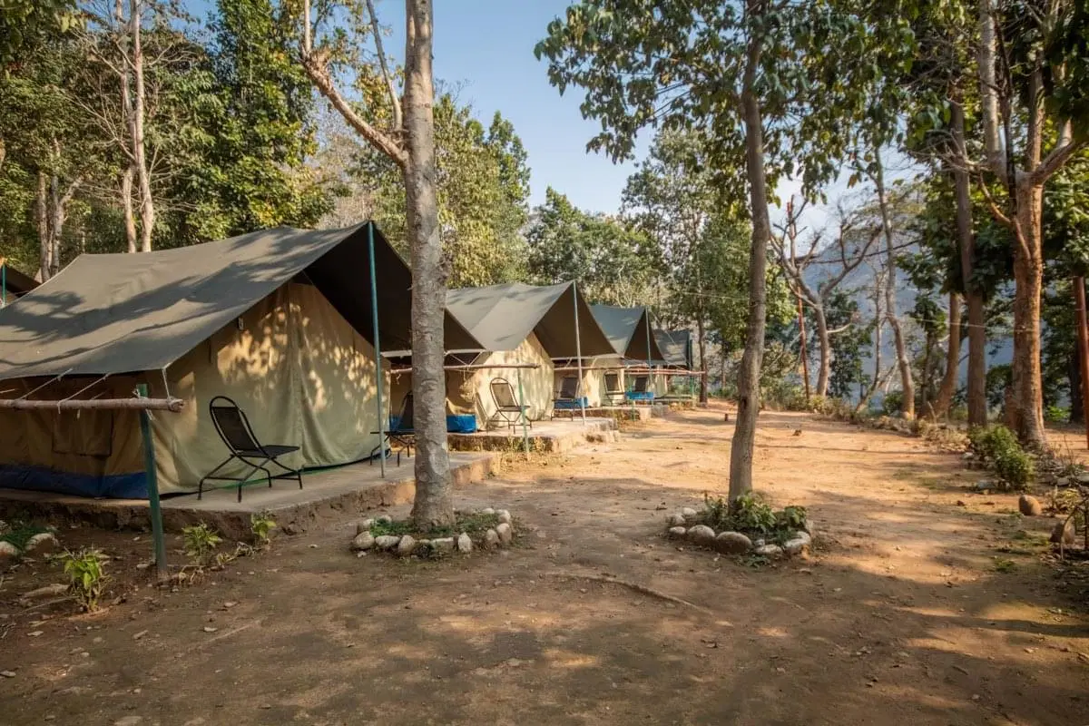 Luxury Camping in Rishikesh