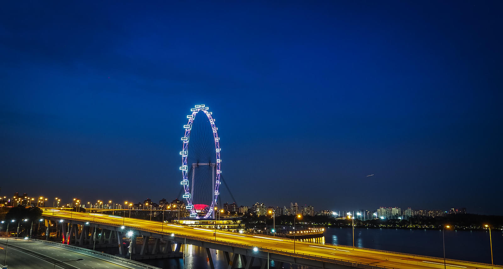 Singapore Flyer and Gardens by the Bay