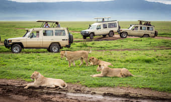 Views of Ngorongoro Conservation Area in Serengeti