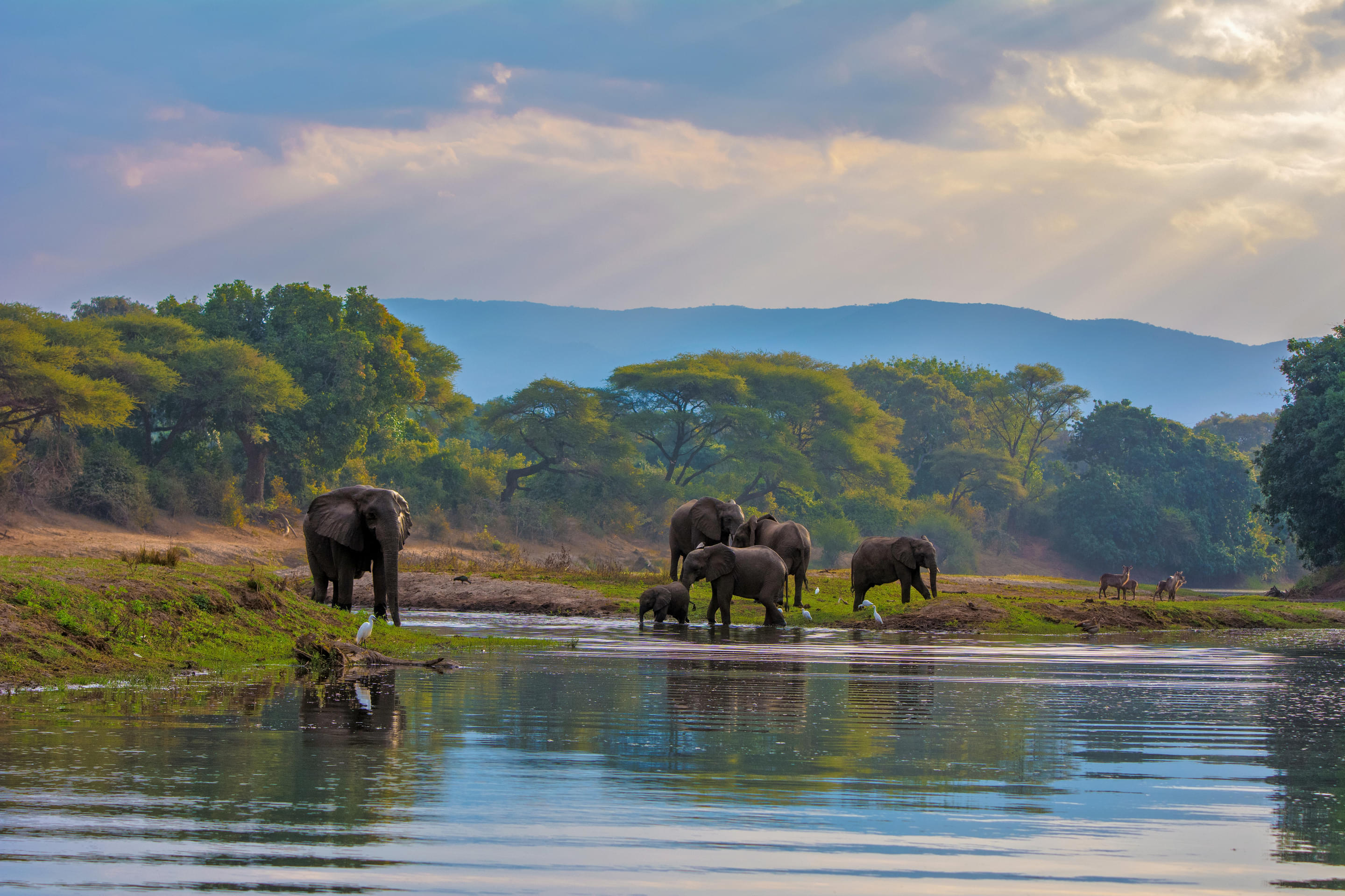 Lower Zambezi National Park Overview