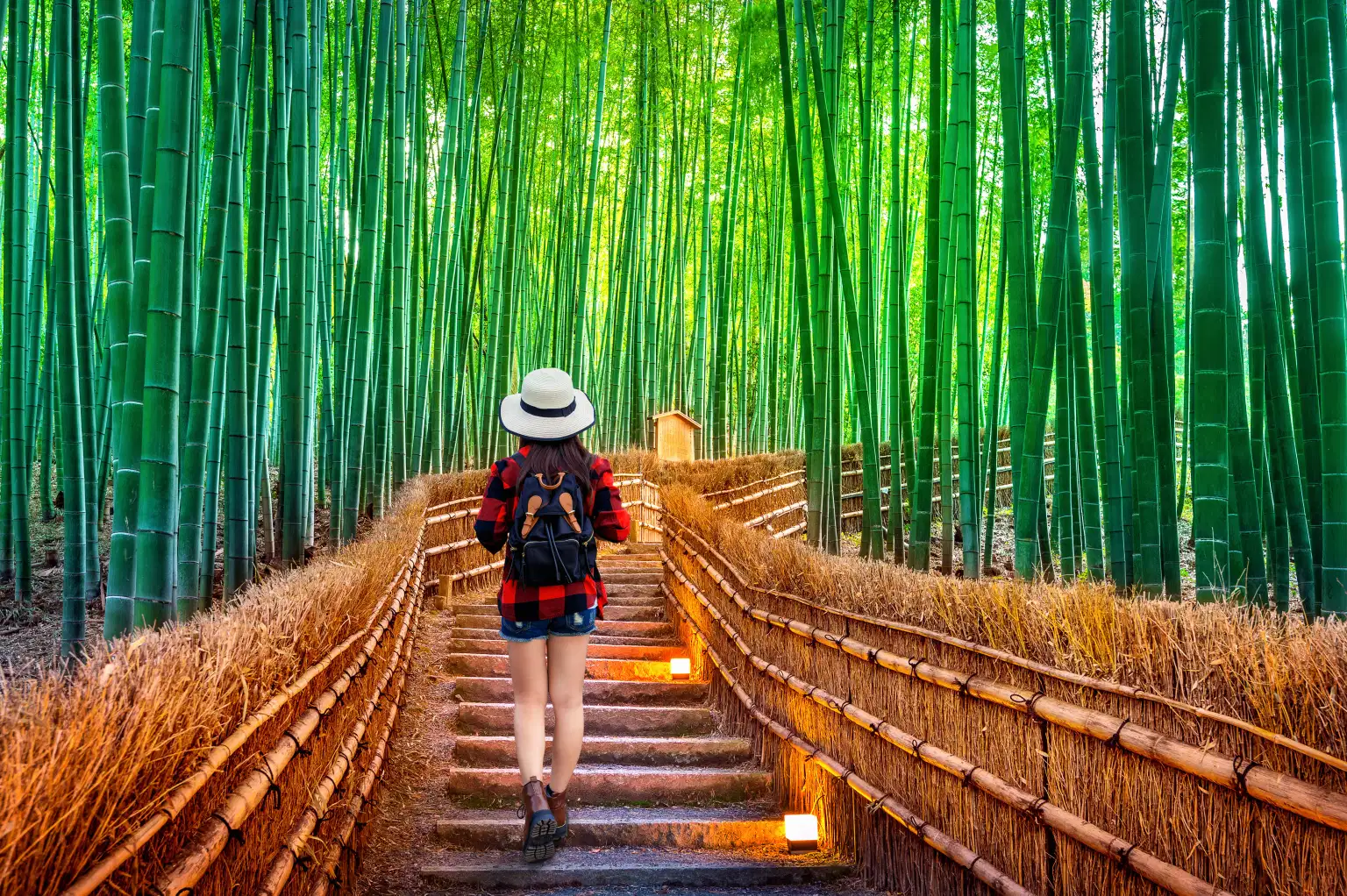 Getaway to South Korea & Japan | A Journey Through Vibrant Cultures