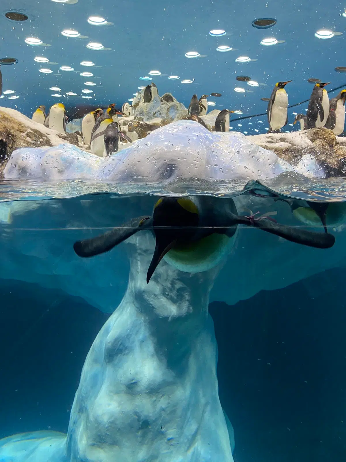 Photo from Oleg Stefanets's trip
