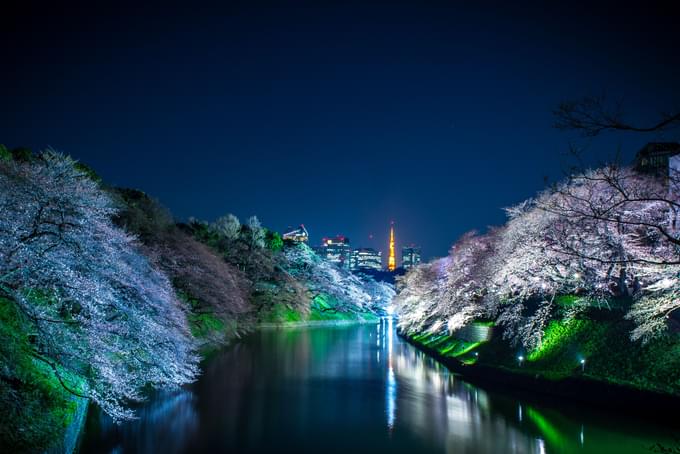 Chidorigafuchi