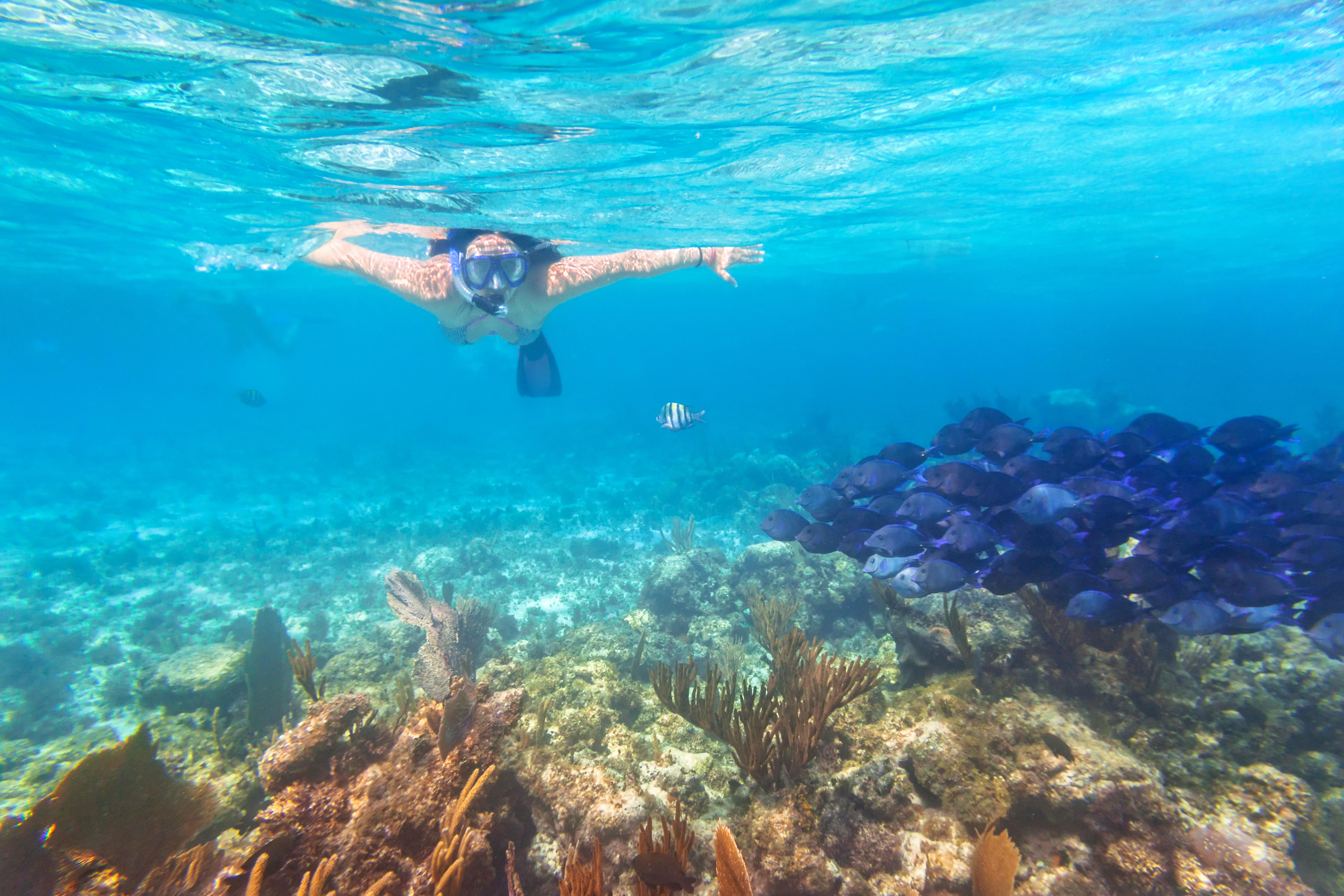 Scuba Diving in Male Maldives