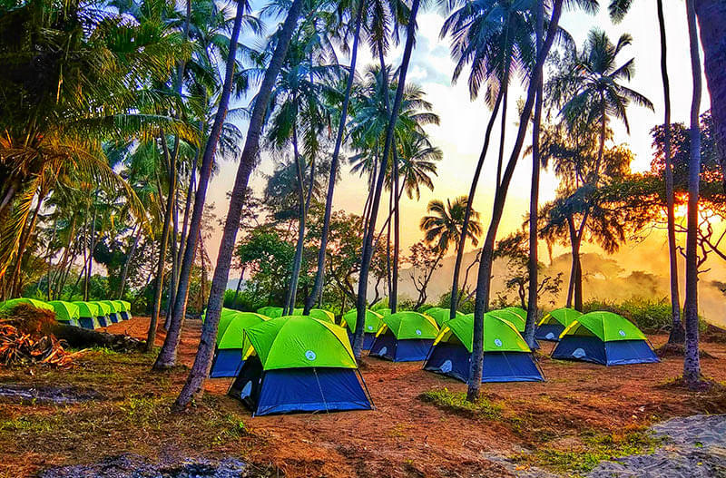  Beachside Camping Near Palghar Image