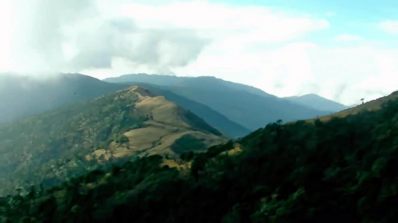 Photo from Deeksha Gill's trip