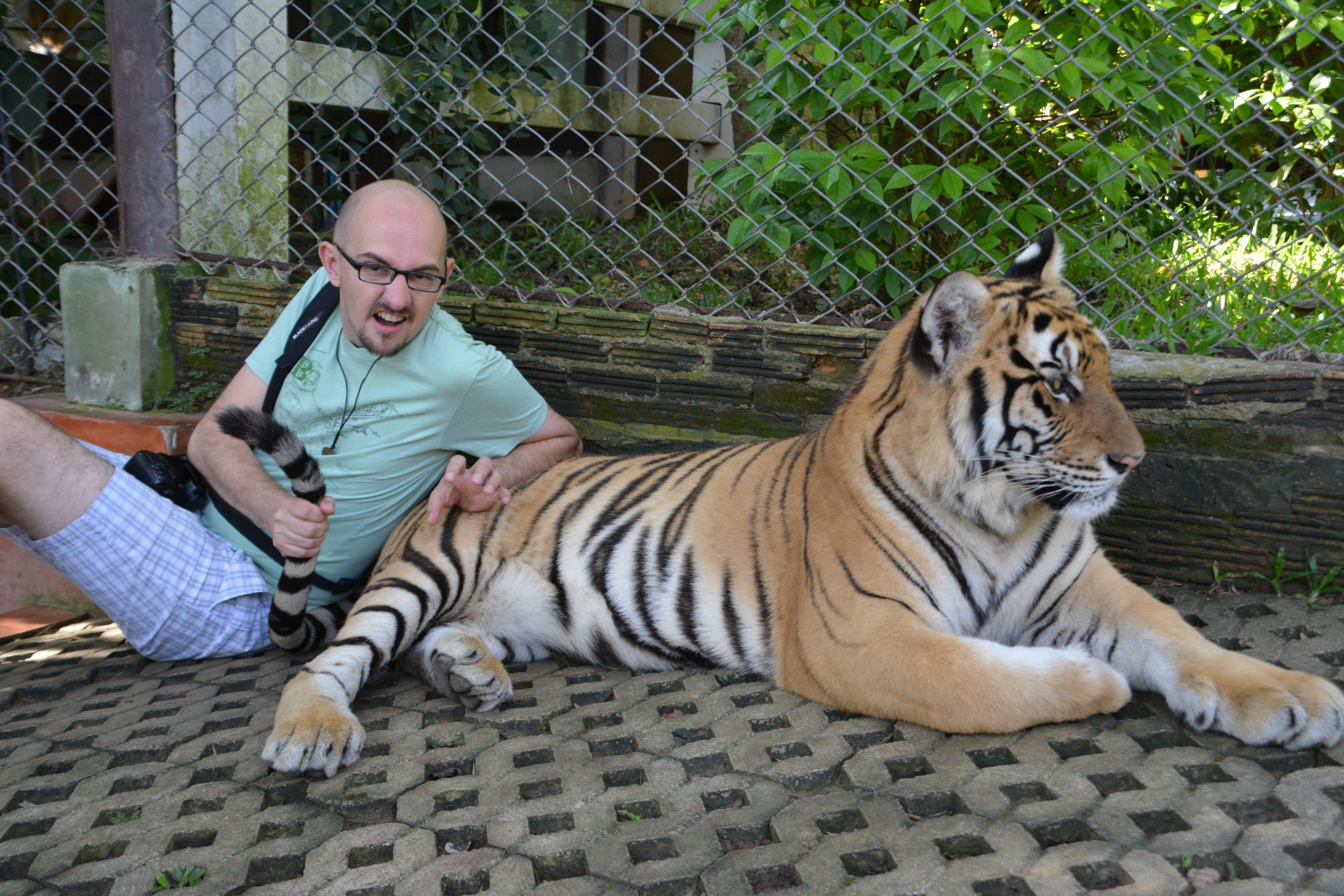 Tiger Kingdom Chiang Mai