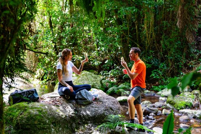 Springbrook National Park Tours