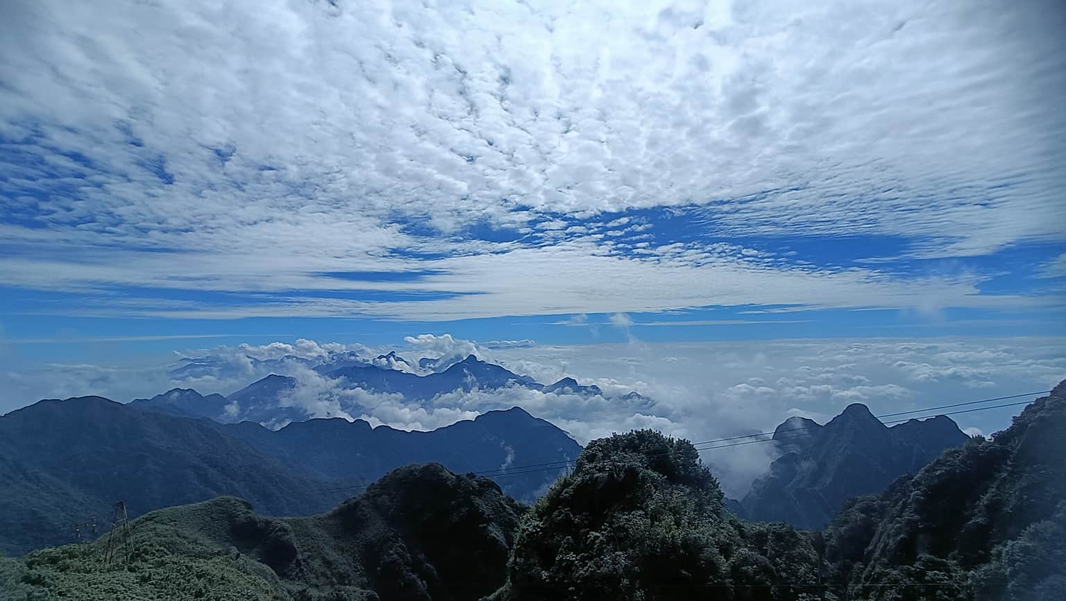 Traveller photo