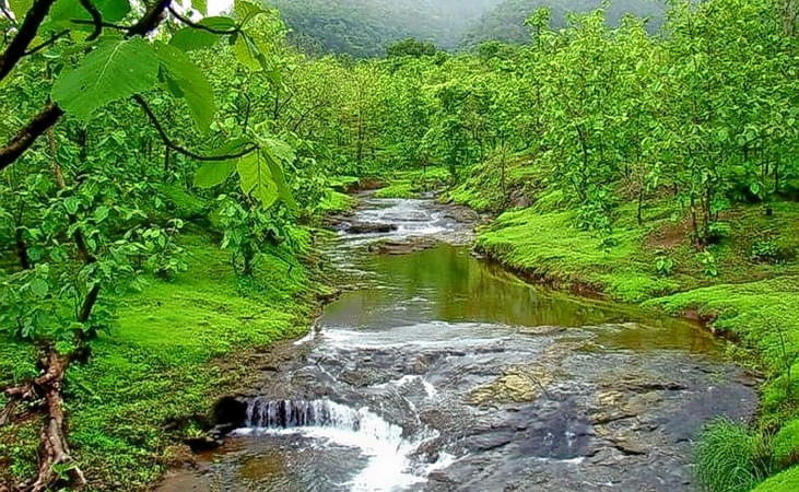 Tansa Wildlife Sanctuary