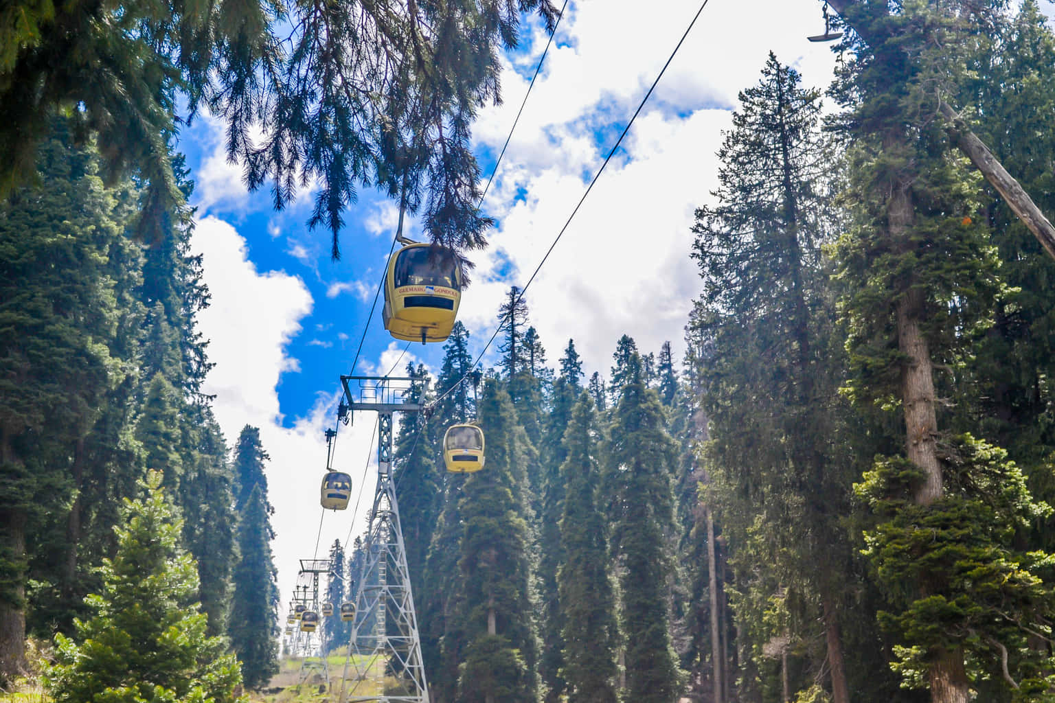 Ski Adventure in Gulmarg with FREE Gondola Ride Tickets