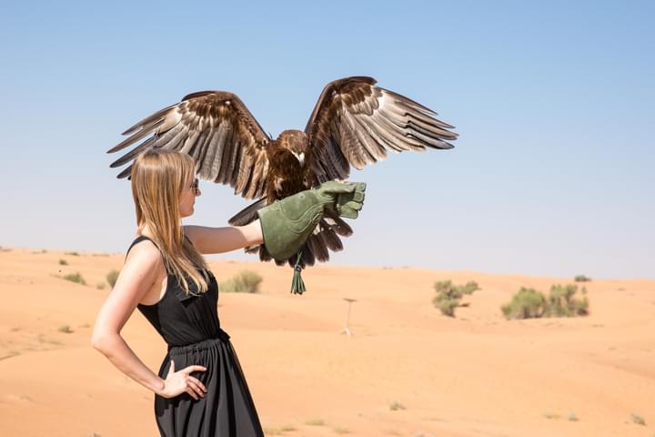 Falcon and trainer in the Dubai Desert