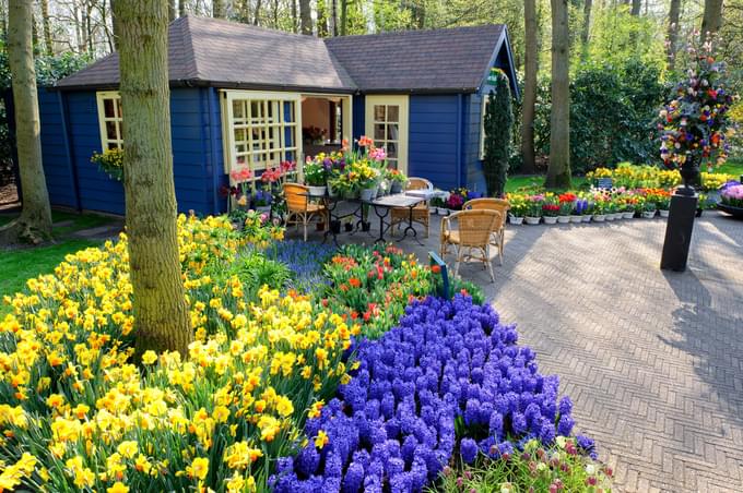 Scavenger Hunt For Kids In Keukenhof Gardens