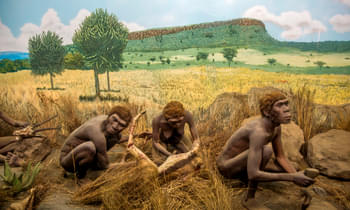 Wqrxa6hryt7ea3wbwz8bfzp1z7o0 1481609137 prehistory at nairobi national museum