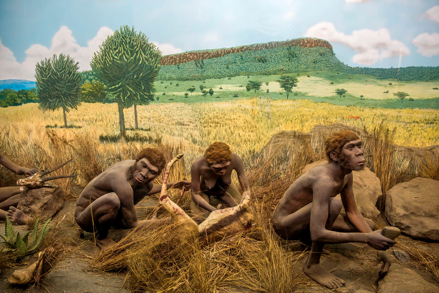 Nairobi National Museum