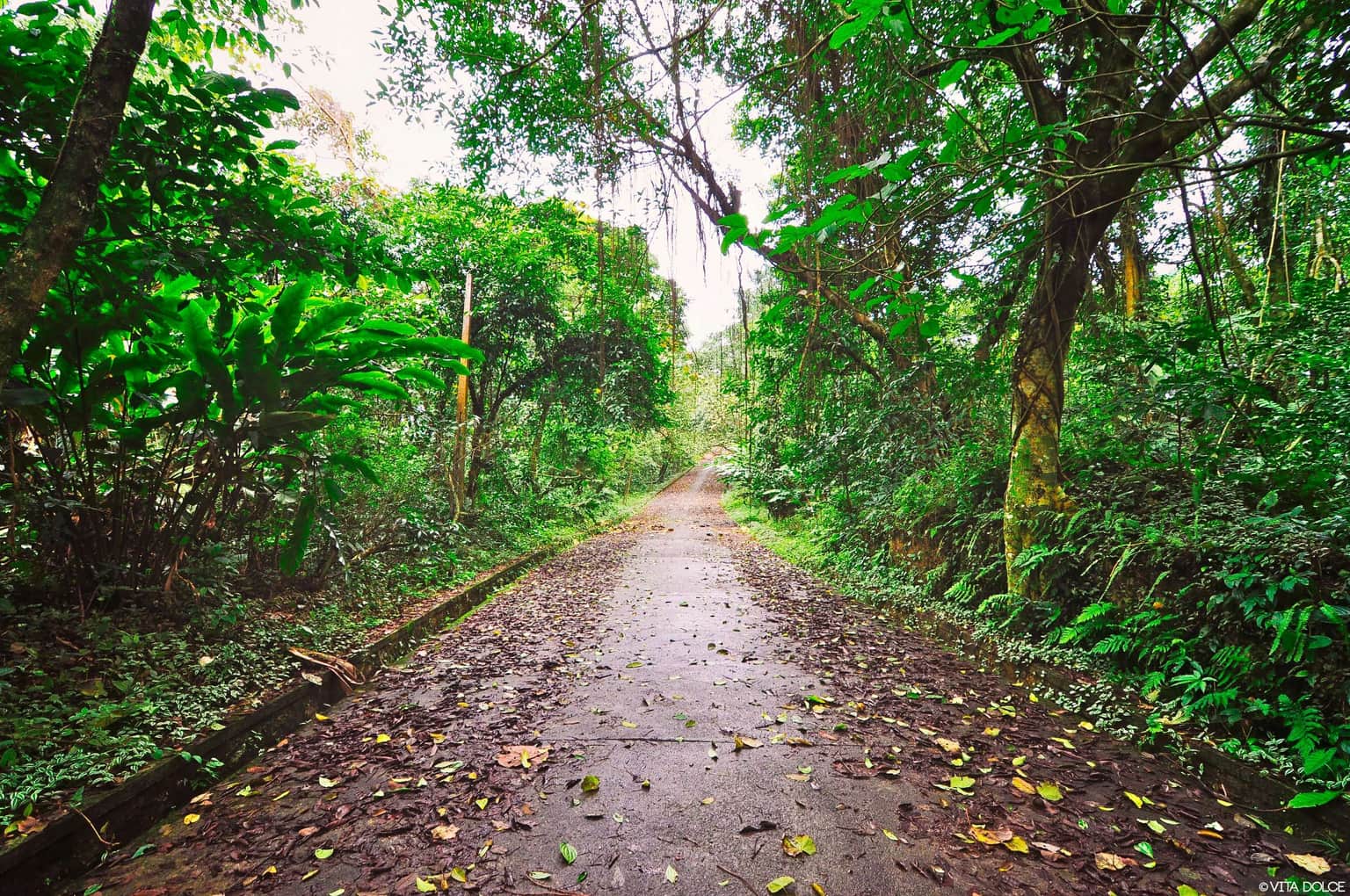 Ba Be National Park