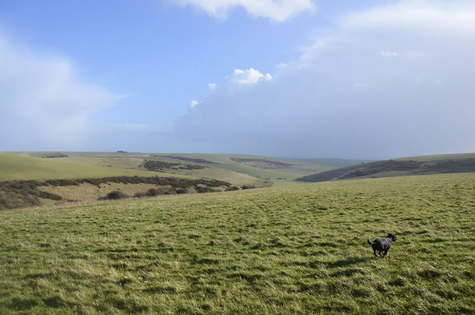 Castle Hill