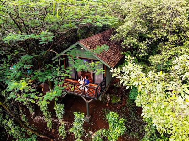 Wray58d92ypnwdn5m78zmhpfryav 266682884