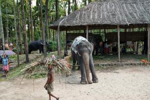 Wrs7q1abub4wkojz96re8978fdrn downpic.cc 81171319