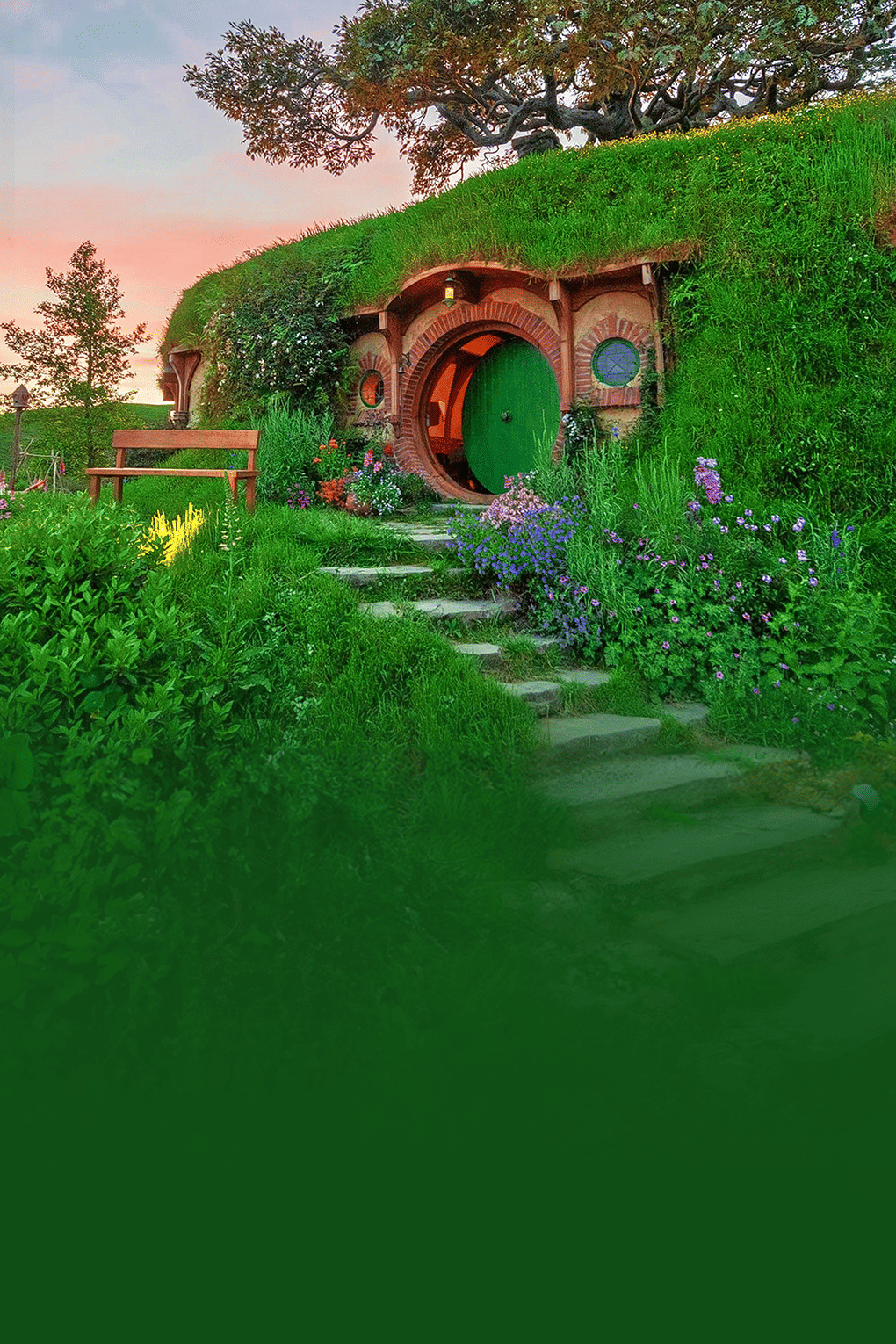 Glimpse of New Zealand | Discover Fjords, Forests and Hobbit Homes