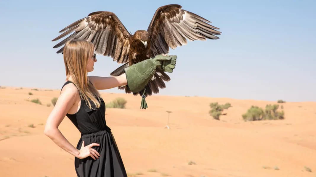 Get a snap with UAE's national bird