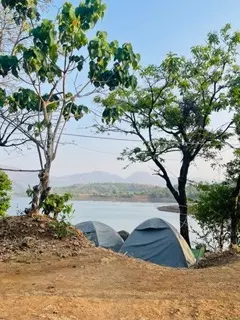 Photo from paddy636261 's trip
