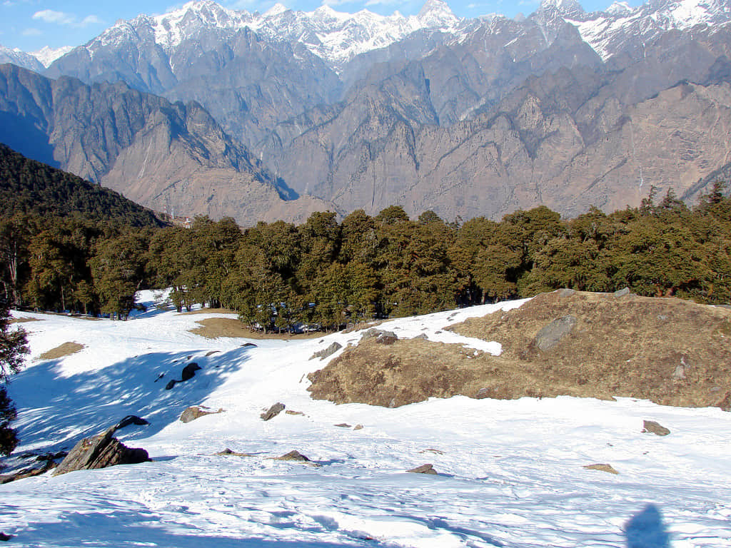 Gurso Bugyal, <em>Auli</em>