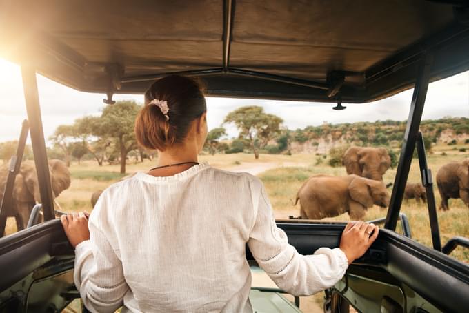 TANZANIA SAFARI HOLIDAYS