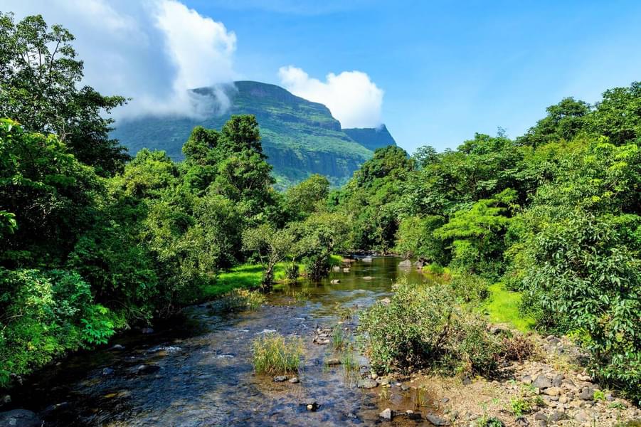 Harishchandragad Trek Image