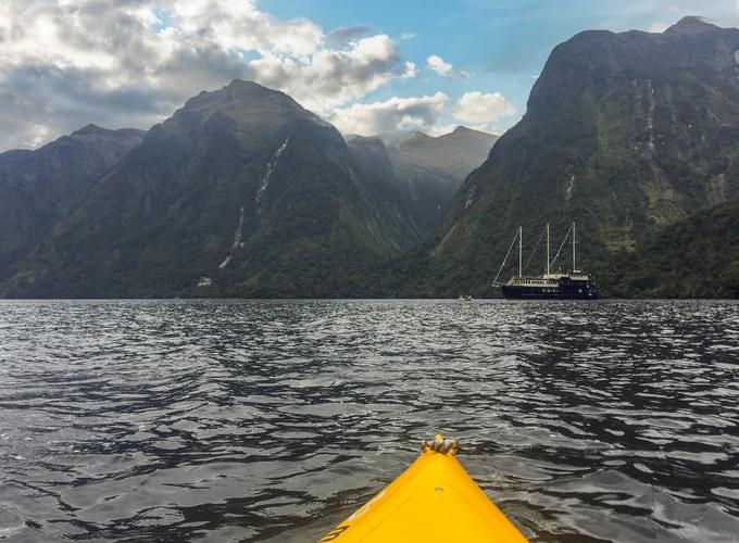 Cruise & Kayak Milford Sound