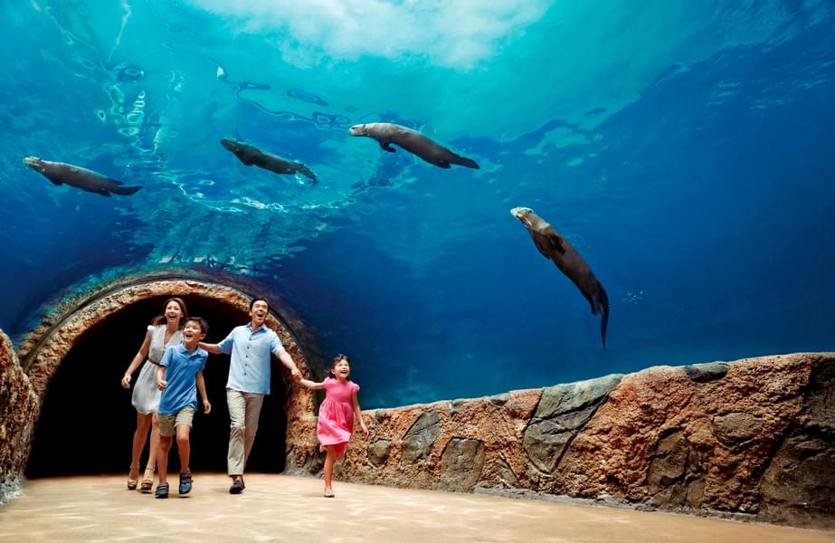 Mandai Wildlife Reserves 2-in-1 Singapore Zoo & River Wonders Image