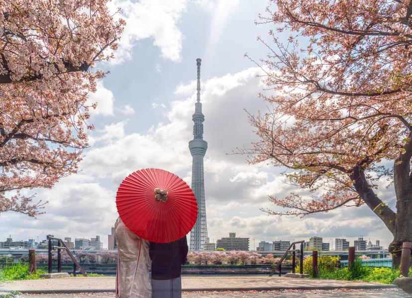 Tokyo Skytree Tickets Image