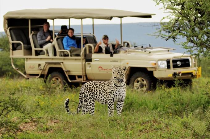 day_1_-_game_drive_at_okonjima_nature_reserve_3_(1).jpg