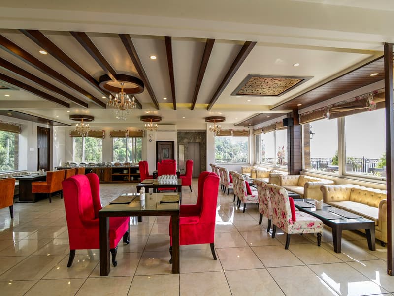 Little Mastiff Dharamshala Image