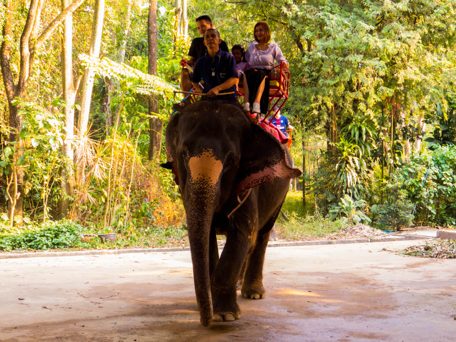 Ride On An Elephant