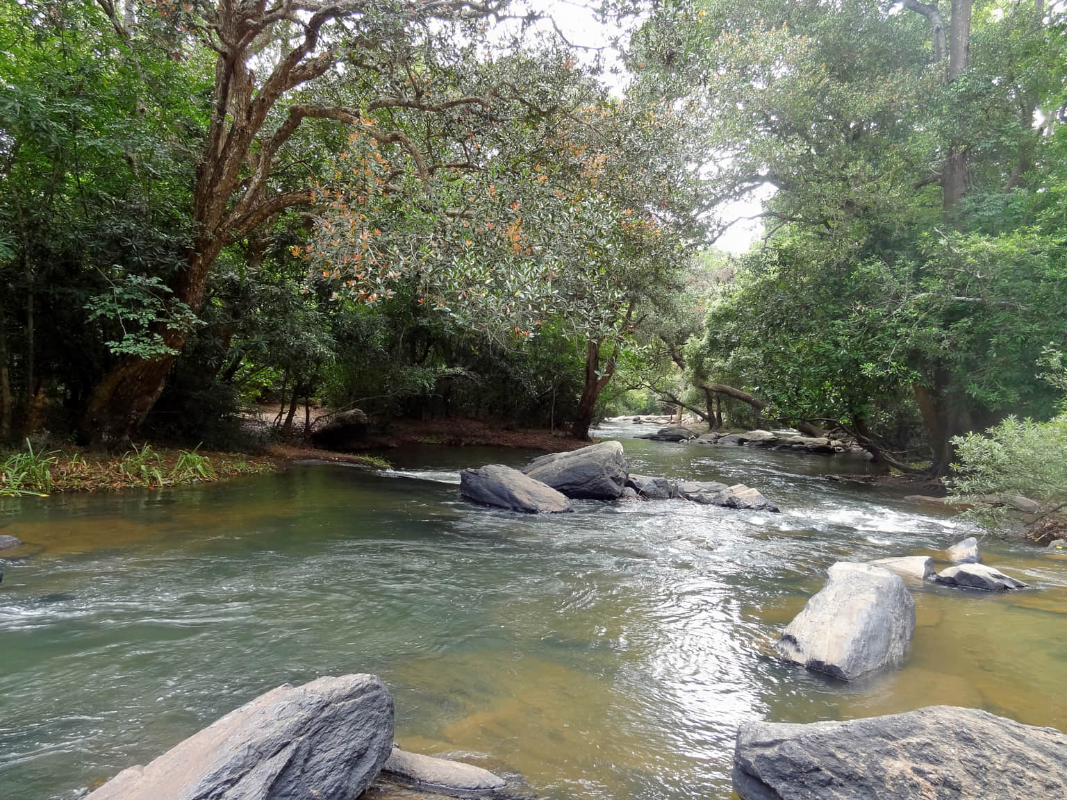 Nisargadhama, <em>Coorg</em>