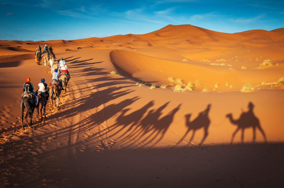 Experience the essence of Arabian hospitality with a camel ride through the mesmerizing desert landscape