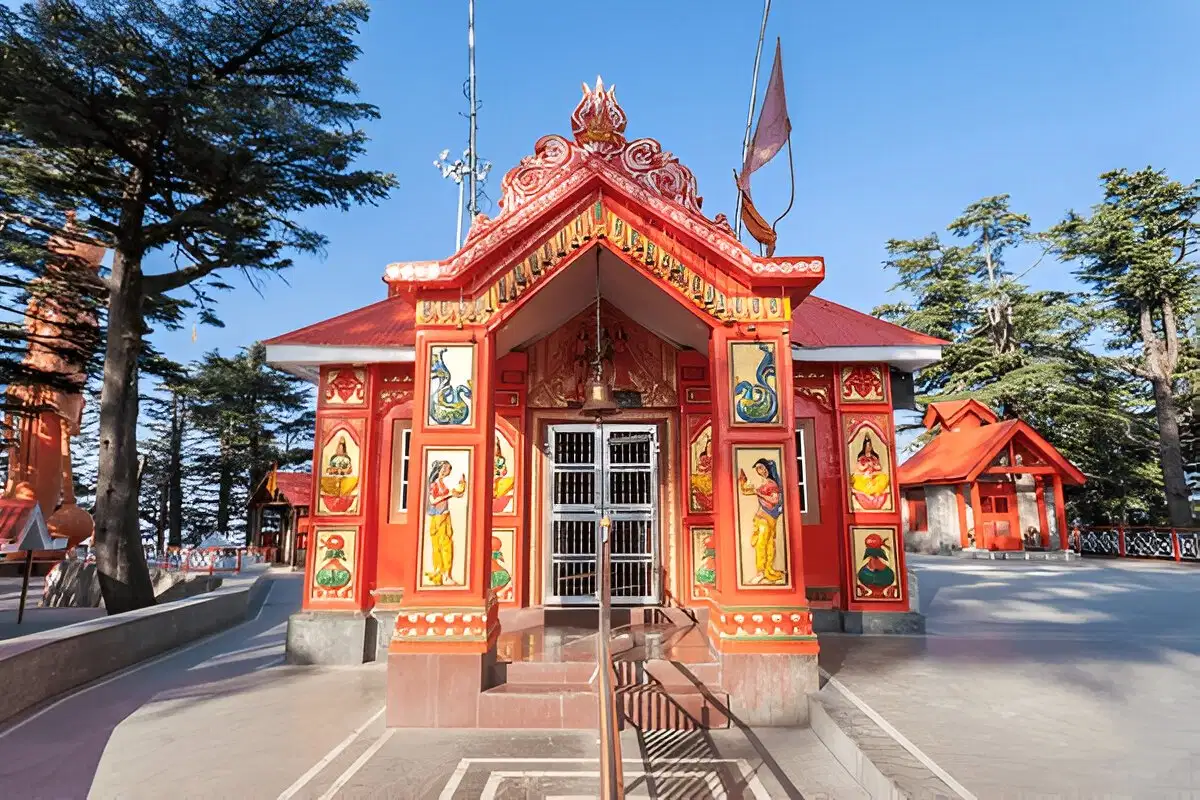 Shimla to Kufri Day Trip