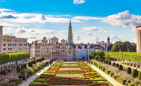 Activity & SightSeeing Image