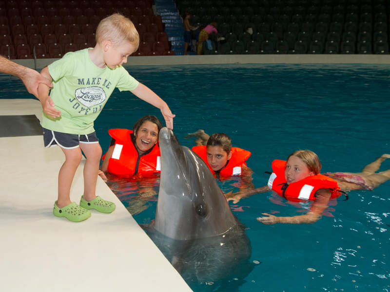 Child interacting with a dolphin 