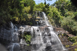 Wwg5x3jej0ylcygwfmywbxgnw2cm shutterstock 1510992293