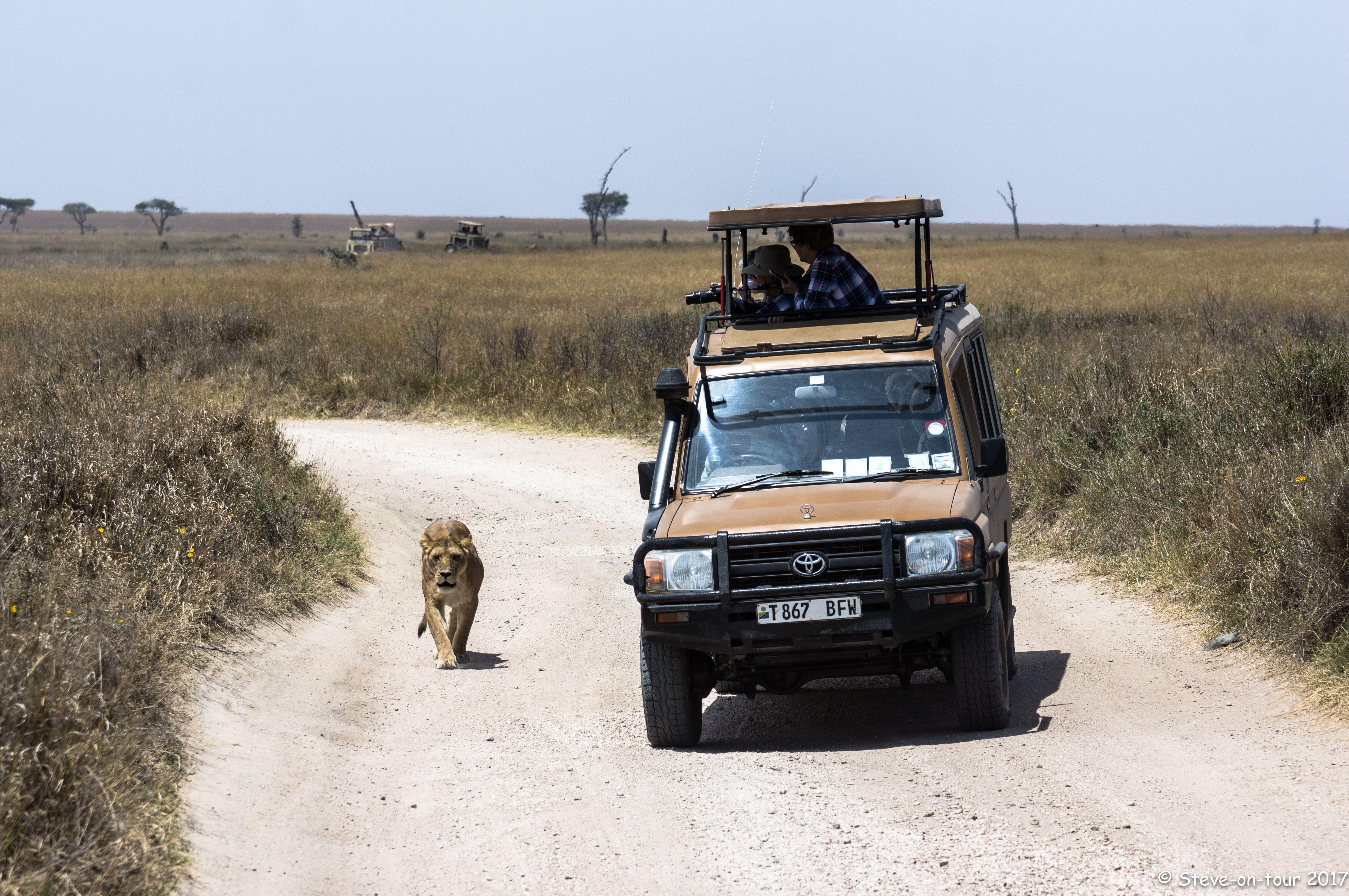 Kruger National Park Safari